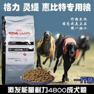 进口4800狗粮赛级犬专用高蛋白高热量耐力格力灵缇慧比特犬粮 正品