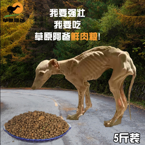 5斤草原阿爸鲜肉狗粮马犬金毛