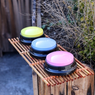 幼儿园宝宝学说话按键亲子互动语音录音盒宠物按钮猫咪狗交流训练