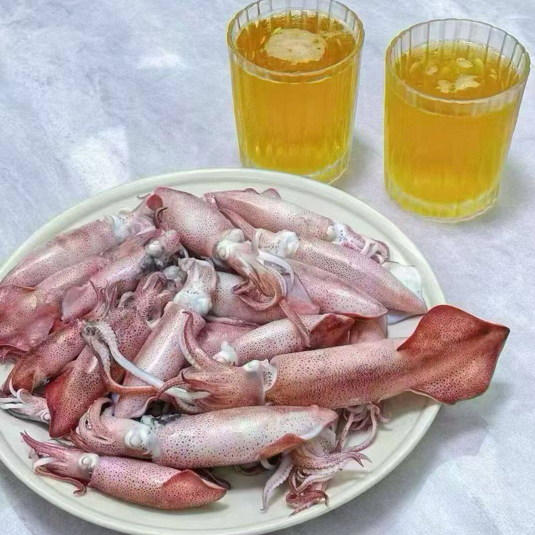 新鲜海钓鱿鱼大管冰鲜冷冻鱿鱼新鲜脆筒鱿鱼厚肉爽脆不泡冰不缩水