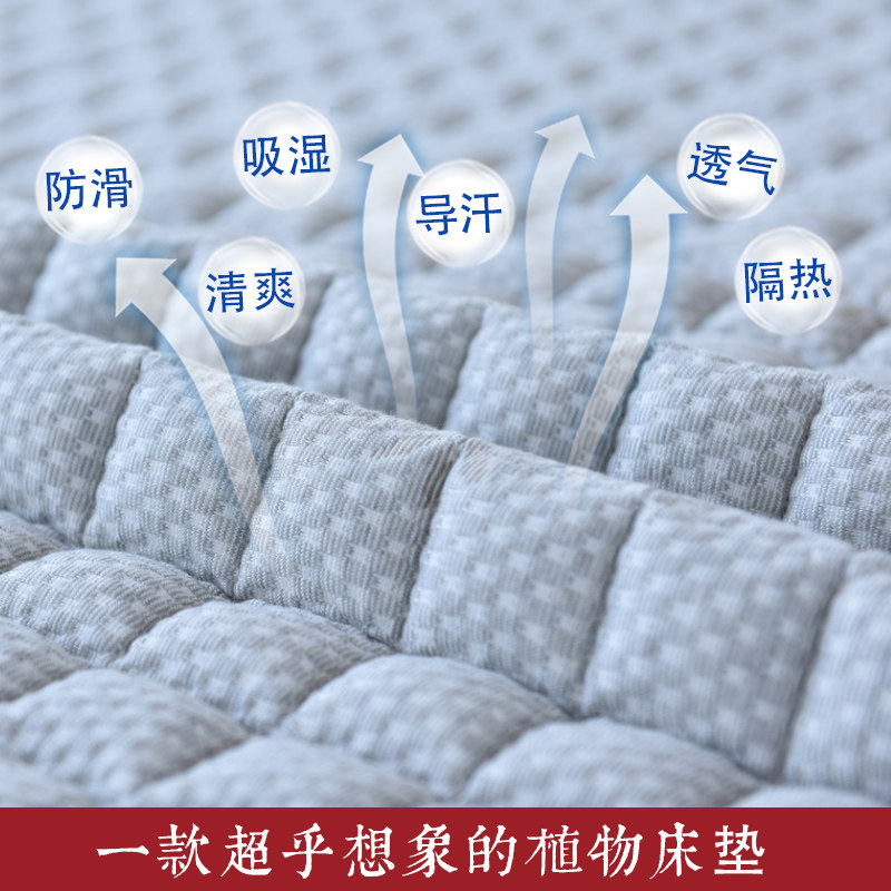 荞麦皮床垫苦荞壳褥子凉席成人学生单双人折叠保健床褥榻榻米床垫