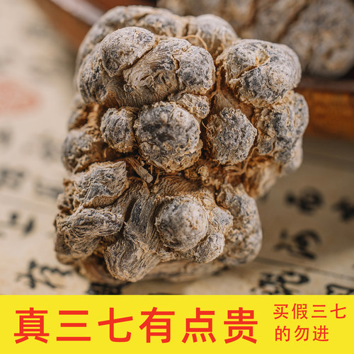文山三七狮子头20头无剪口特级