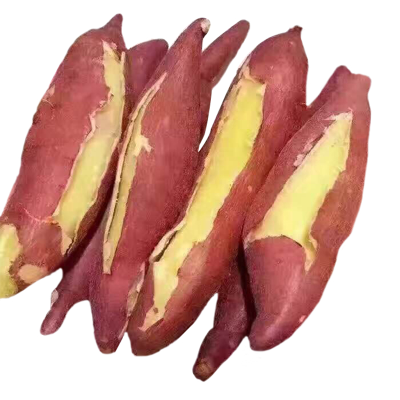 陕西延川红薯白心农家自种现挖现发新鲜纯天然红薯十斤礼盒装包邮