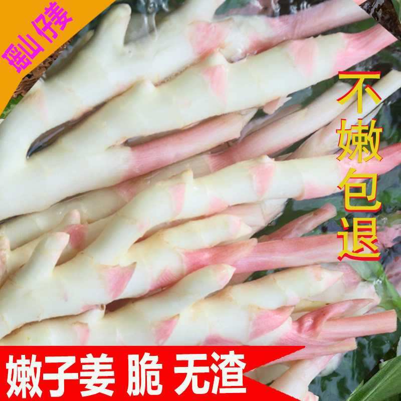 子姜嫩姜新鲜仔姜5斤生姜湖南江永香姜子姜醋泡炒菜血鸭现挖带泥