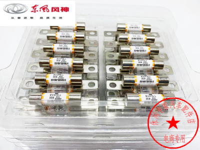风神E70新能源高压保险丝