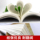 Талмуд Подлинная оригинальная китайская версия Книги мудрости Полное собрание еврейских книг Предпринимательство и обогащение Библия Ведение бизнеса Богатство Свобода Успех Вдохновляющие книги Список бестселлеров Классический оригинальный комплект Талмуда mini 2