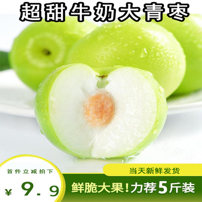 官方推荐︱牛奶大青枣︱产地直发