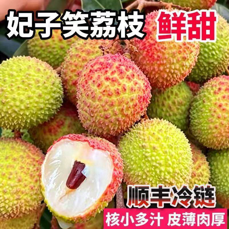 正宗广东茂名白糖罂荔枝 高州根子产地直发 应季水果礼盒