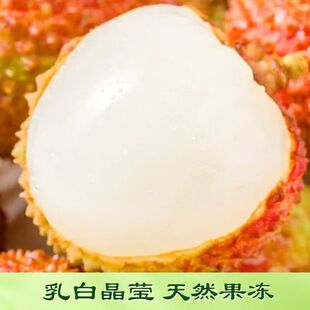 2026头茬湛江妃子笑 广东产地 现摘现发 清甜多汁新鲜荔枝
