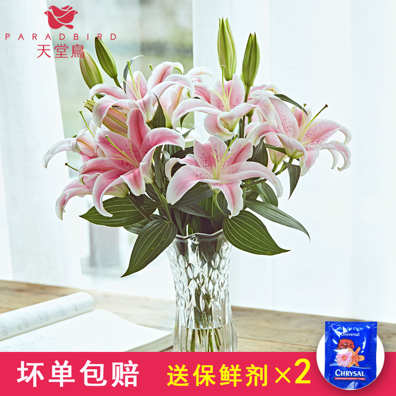 云南昆明新鲜香水百合花鲜花批发包邮一扎水养花鲜花速递室内家用