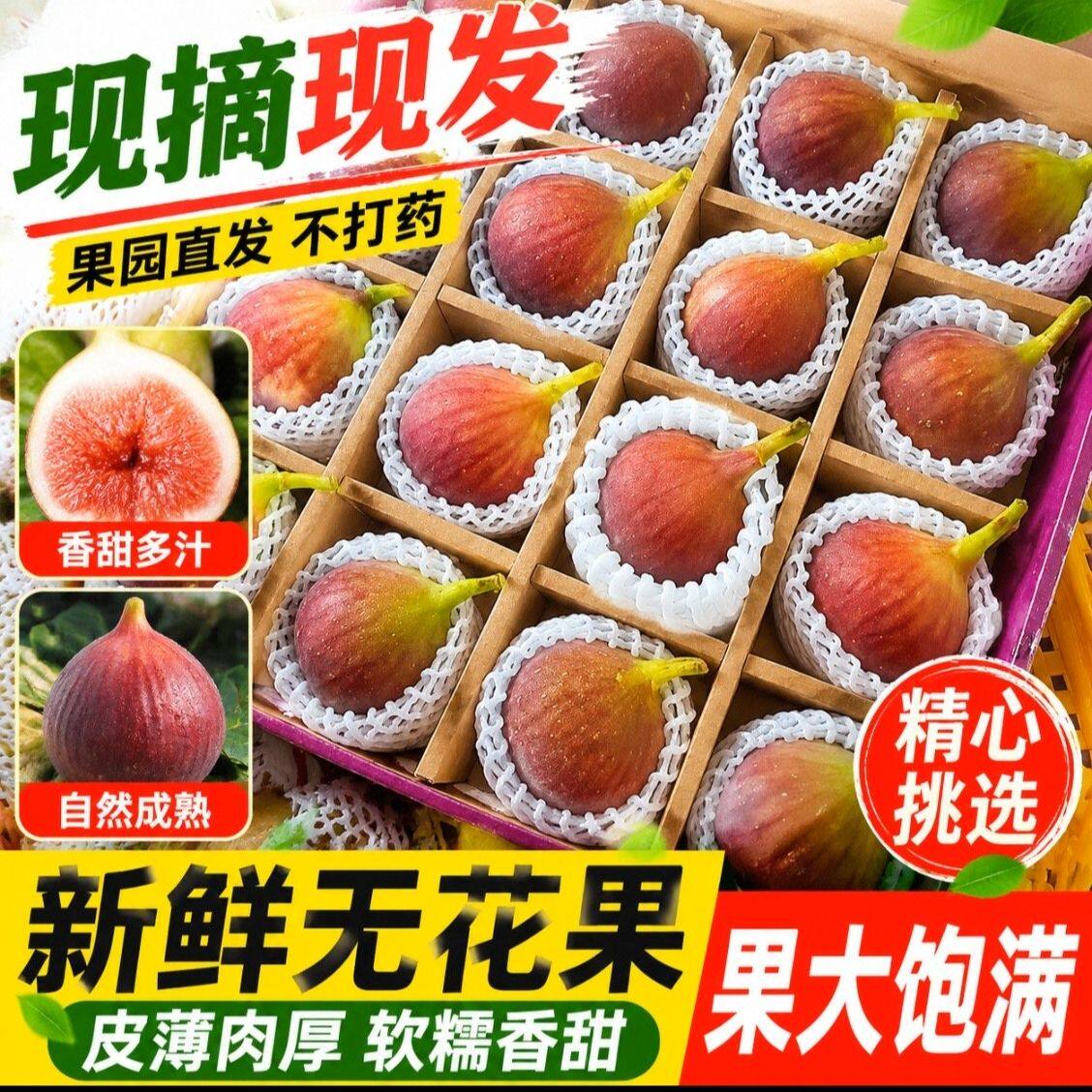 顺丰）1斤正宗云南无花果新鲜水无花果
