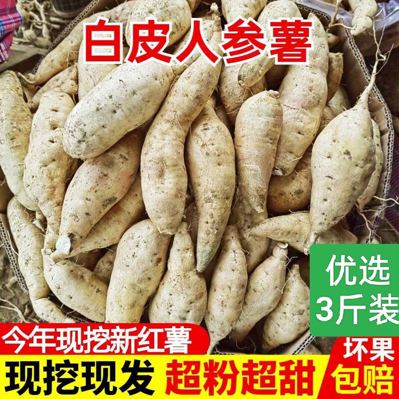 农家自种3斤牛奶人参地薯奶香白皮白心番薯板栗薯粉糯香甜无丝地