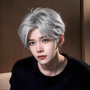 微分碎盖男士奶奶灰假发男款中分短发韩版帅气男生日常仿真全头套