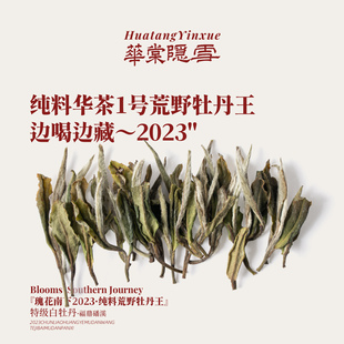 【新品首发】华棠隐雪『瑰花南下2023·纯料荒野牡丹王』白茶