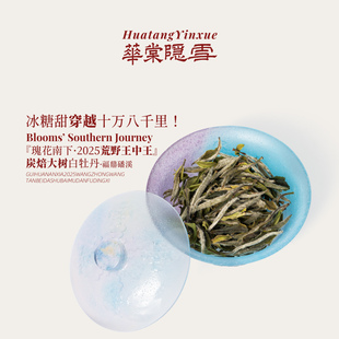 华棠隐雪『瑰花南下2025·荒野炭焙王中王』白牡丹