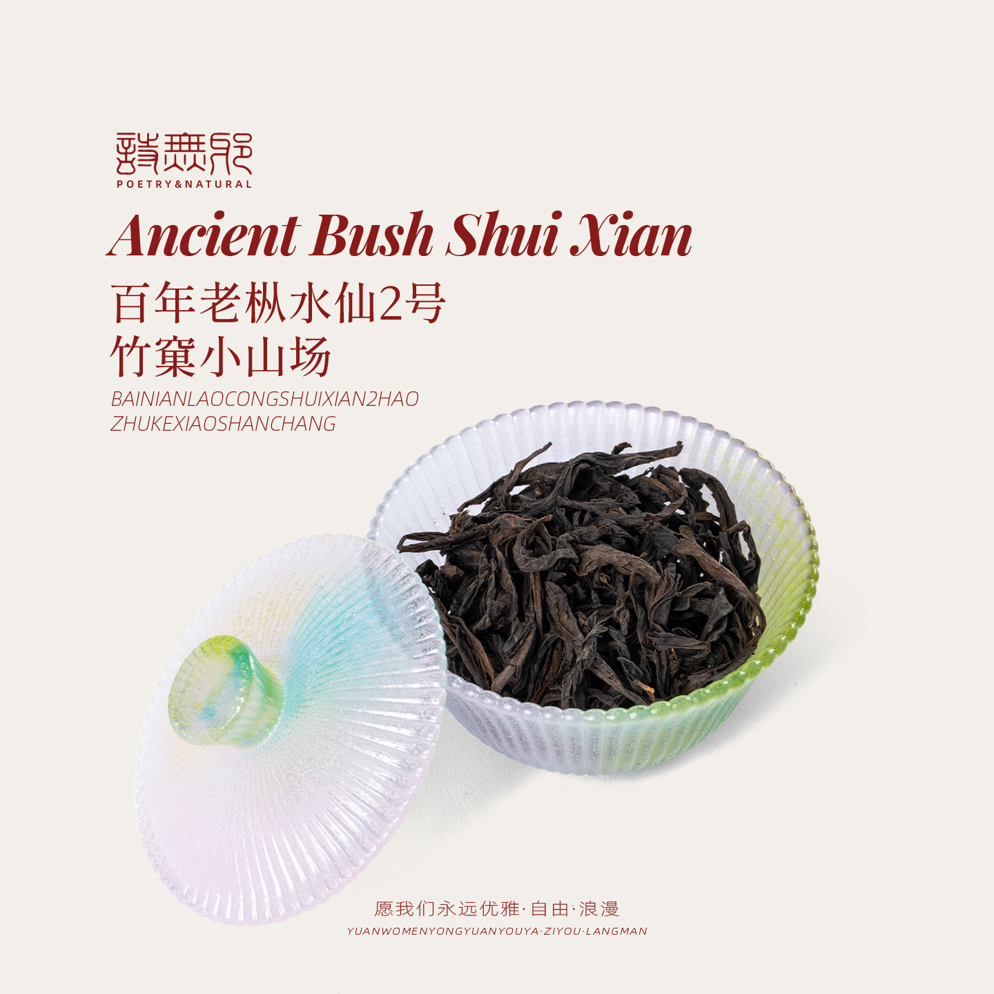 【即将上新】『百年老枞水仙No.2』武夷岩茶正岩特级乌龙茶茶叶