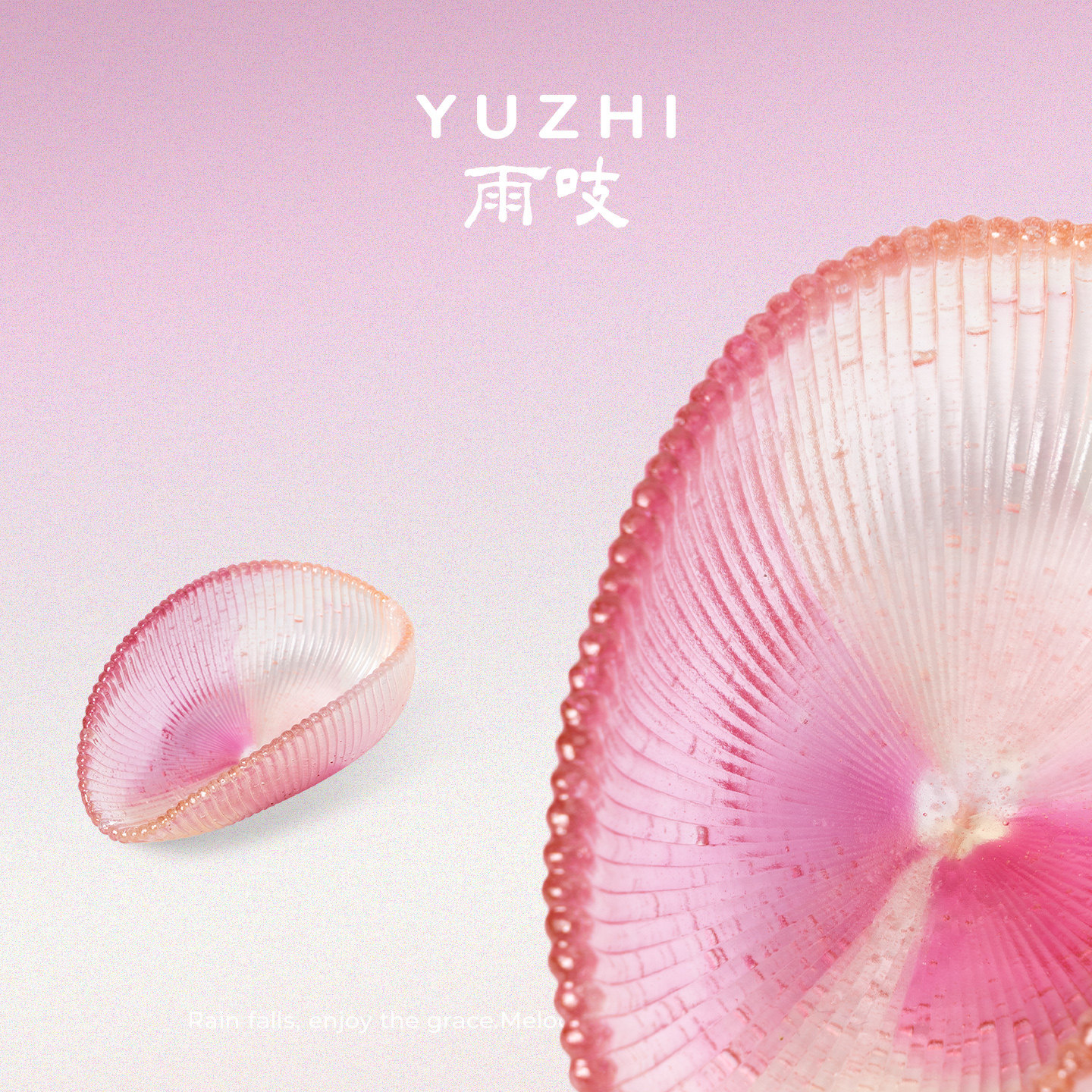 【静待下一批】雨吱YUZHI『霜逸』古法琉璃菊瓣茶则取茶分茶器