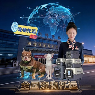 宠物托运国内国际代办手续上门接送安全专业全国空调专车实时监控