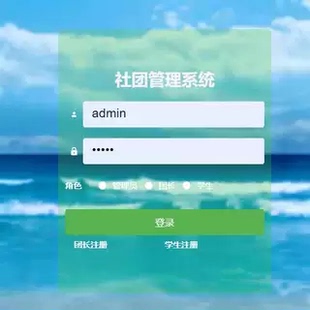社团管理系统|java|springboot|vue|mysql|万字文档