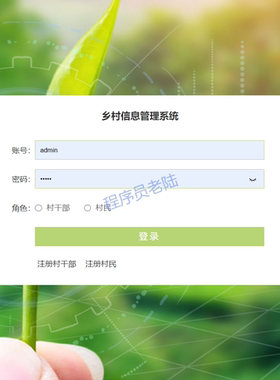 乡村信息管理系统｜java｜springboot｜vue｜mysql｜万字文档