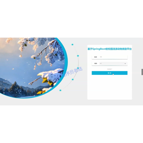 流浪动物管理系统｜java｜springboot｜vue｜mysql｜万字文档