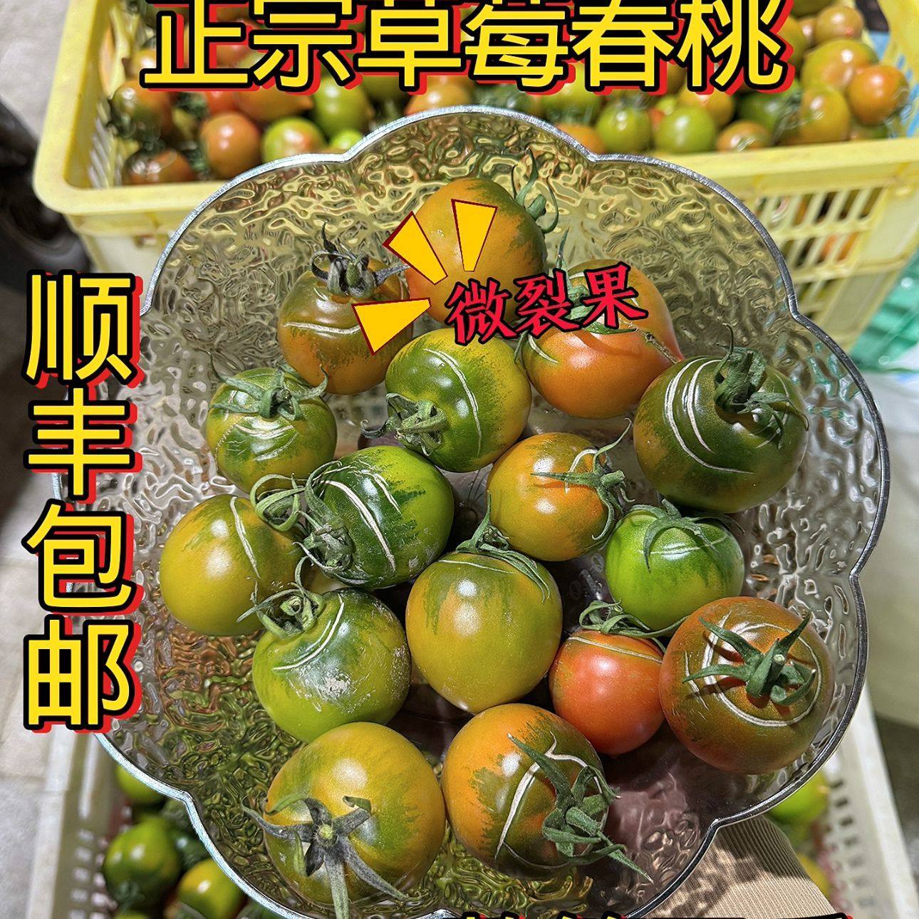 正宗福建二级次品铁皮草莓春桃裂果现摘新鲜水果番茄绿腚西红柿,水产肉类/新鲜蔬果/熟食,番茄,淘宝优惠券,粉丝福利购,淘宝优惠卷