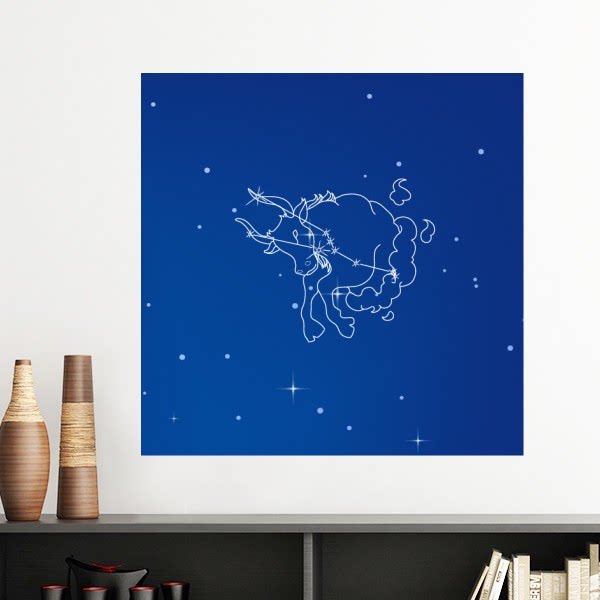 四月五月金牛座星座星空墙贴壁纸房间贴花