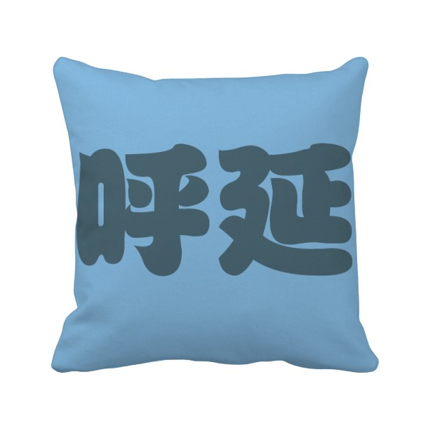 呼延中国复姓氏文化方形抱枕靠枕沙发靠垫双面含芯礼物