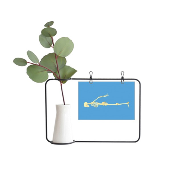 人类侧面骨骼插画金属相框陶瓷花瓶装饰