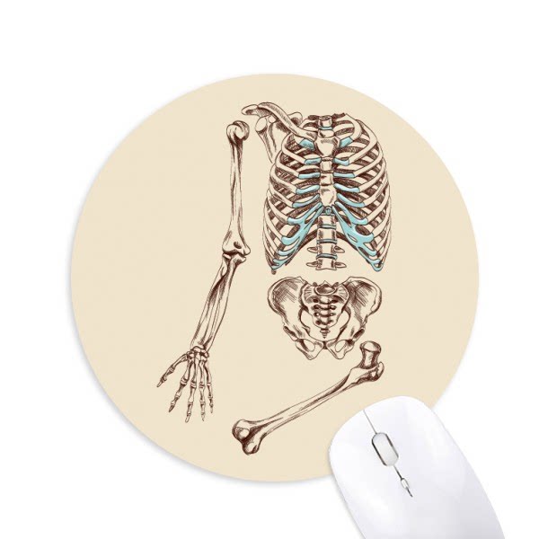 人类骨骼素描插画圆形游戏办公防滑橡胶鼠标垫礼物