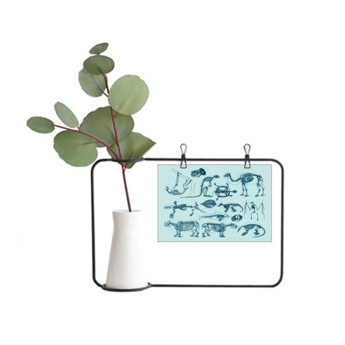 素描画花瓶销量排行榜 素描画花瓶品牌热度排名 小麦优选