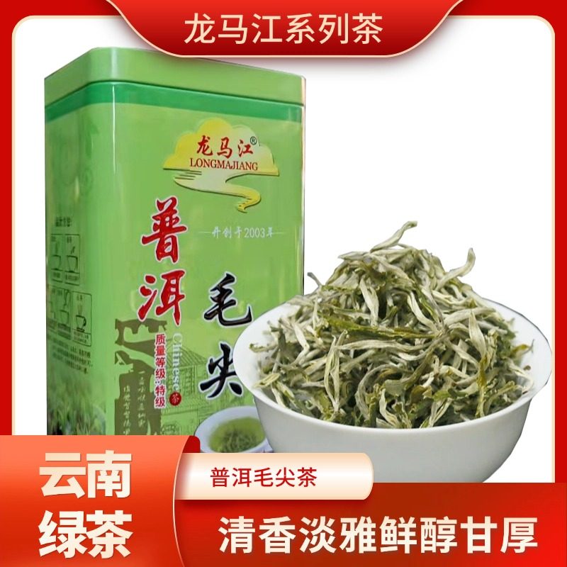 龙马江普洱春毛尖罐装100g散茶叶新茶特级云南大叶种烘青绿茶