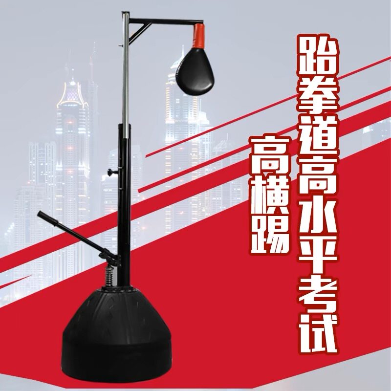 跆拳道考试训练器材单招水平