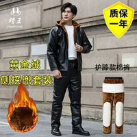 Золотой бархатный комплект, наколенники, штаны