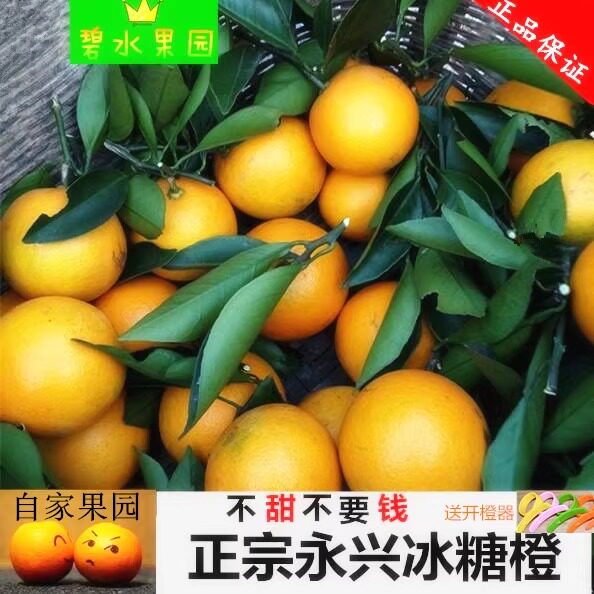 永兴冰糖橙橙子超甜薄皮当季水果湖南郴州特产冰糖橙18斤精品果