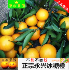 永兴冰糖橙橙子超甜薄皮当季水果湖南郴州特产冰糖橙18斤精品果