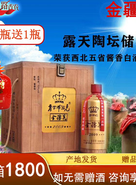 肖尔布拉克金疆茅2009