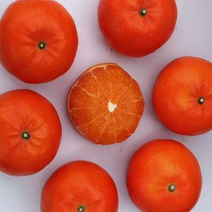 武鸣沃柑中大果新鲜现摘10斤广西当季柑橘多汁香甜健康营养桔子