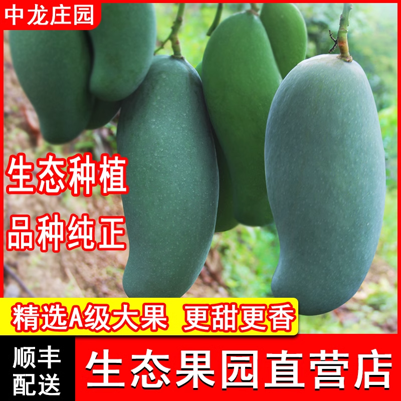 正宗田东大桂七青香芒果现摘包甜广西百色田东桂7新鲜大果中龙