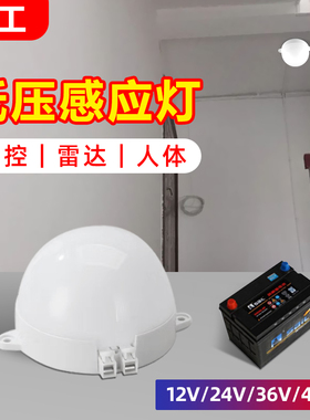 低压声控LED太阳能人体感应灯12v24v36v伏电瓶池直流ACDC雷达智能