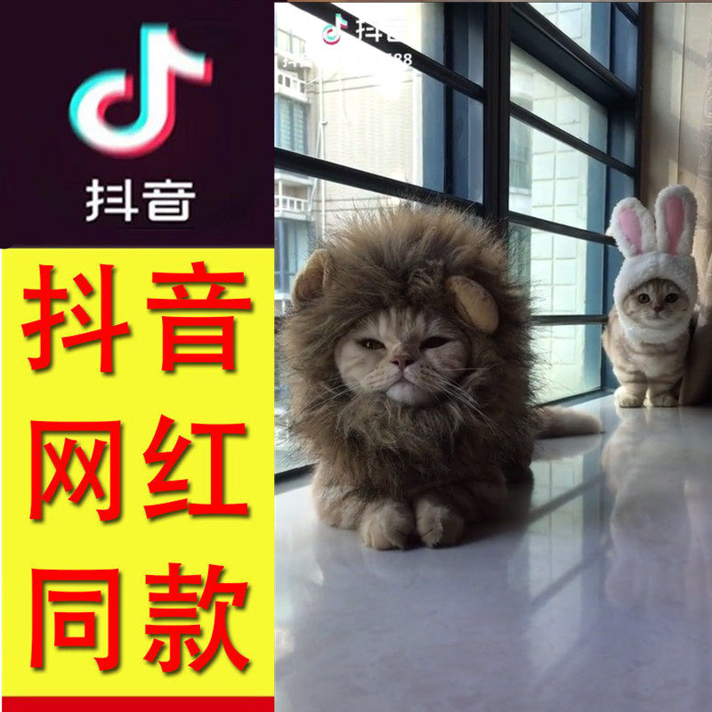 抖音网红小猫咪狮子头套兔子耳朵变装圣诞帽子宠物可爱搞笑怪发饰
