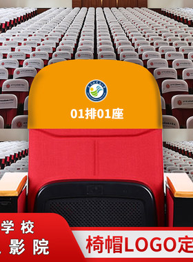 定做椅套椅帽影剧院学校报告厅