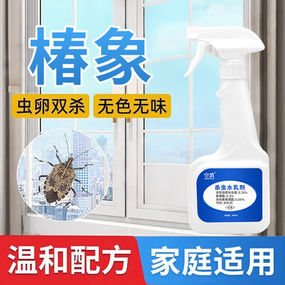 椿象杀虫剂专用药防蝽虫喷雾麻皮椿除蝽象驱蝽蟓杀春象橡虫药灭臭