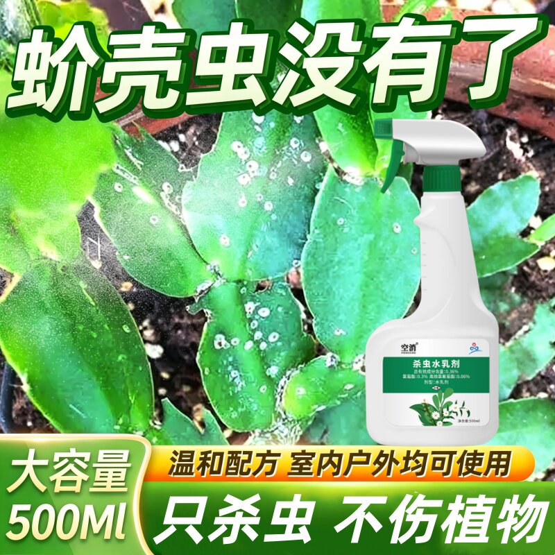 介壳多肉幸福树柿子树蚧必治蚧壳虫杀虫剂灭木虱蚜虫红蜘蛛小白虫