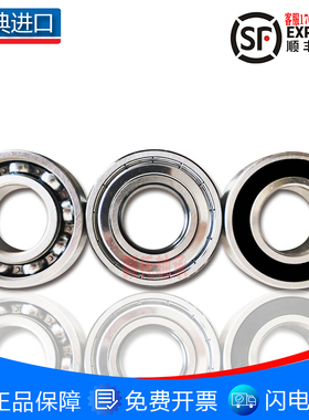 瑞典进口高温高速带槽轴承6007 6008 6009 6010 6011 6012 6013N