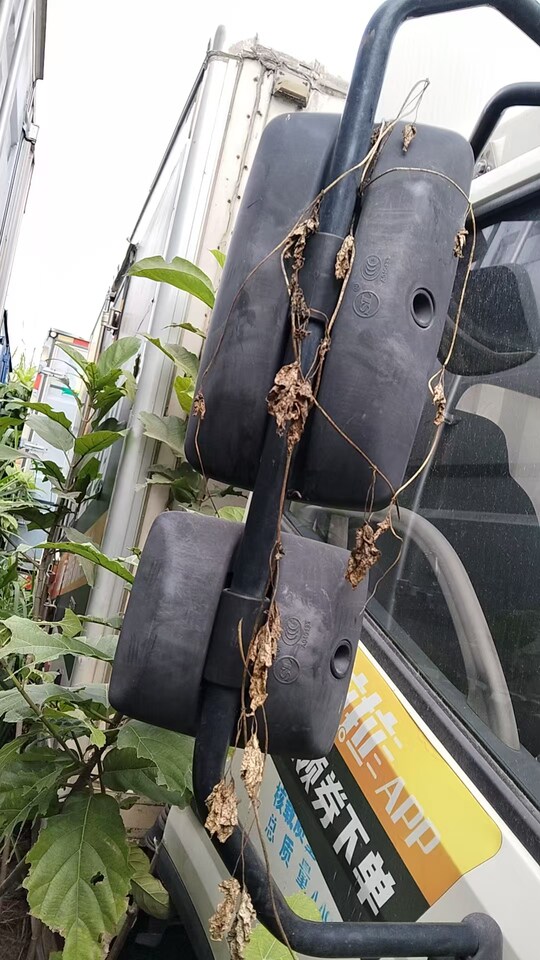 3月11日广州粤EQ1J65福田牌轻型厢式货车网络拍卖公告