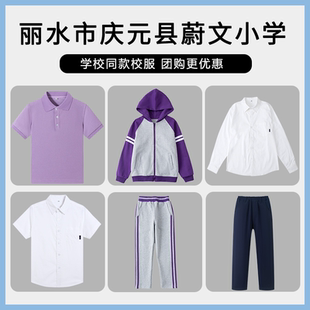 【丽水市庆元县蔚文小学】 校服班服英伦运动服短袖衬衫上衣长裤