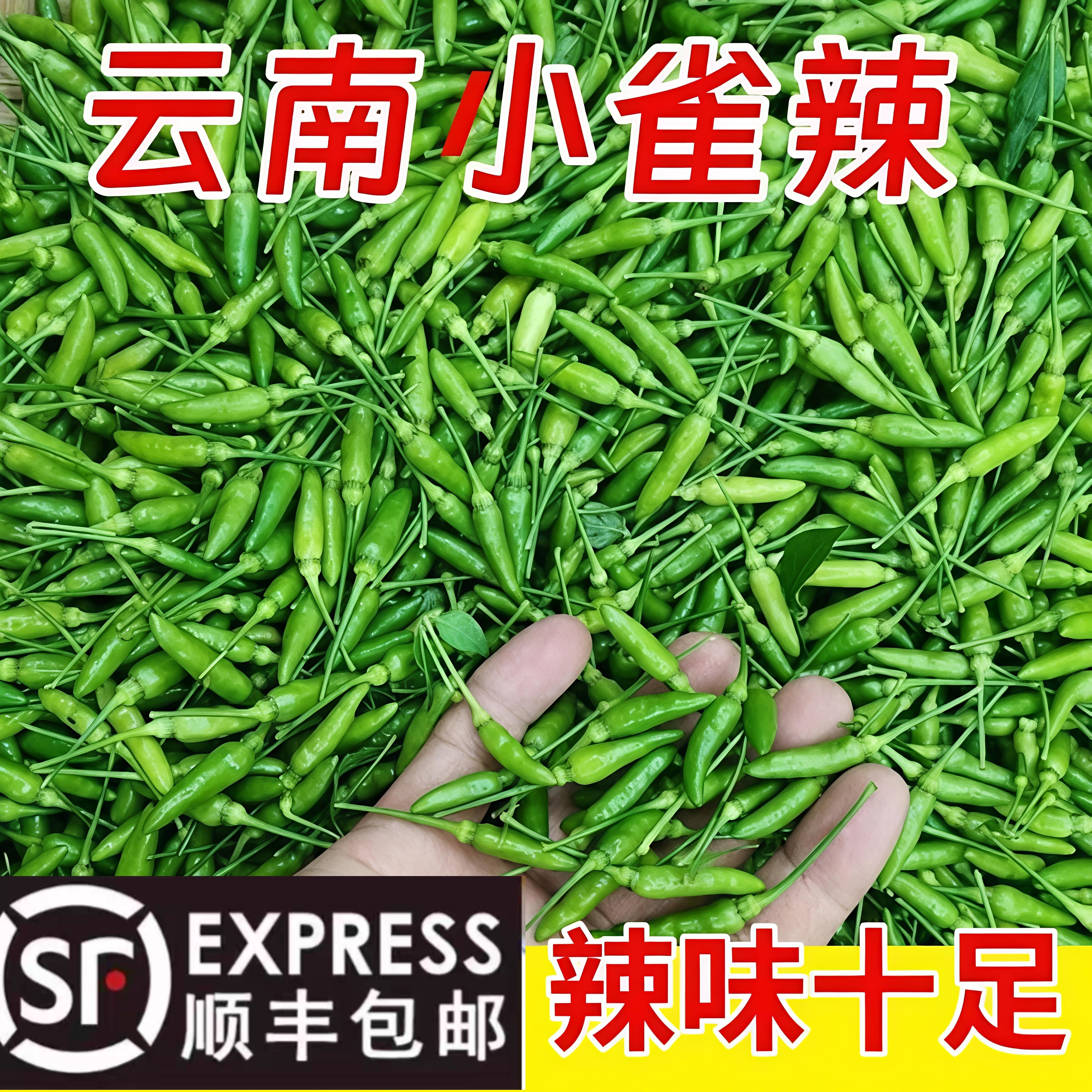 云南新鲜特辣小雀辣泰椒泡椒