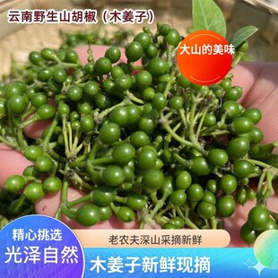 云南建水新鲜木姜子山胡椒大颗粒头茬山苍子野生农家现摘现发包邮