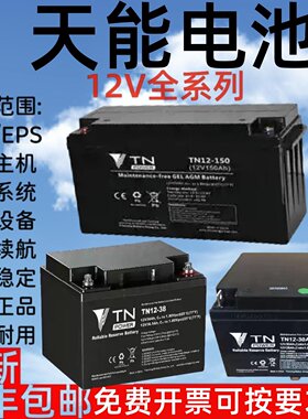 TN蓄电池TN-12V120AH100A65A55AH38A30A24A17AH9AH7AH/直流屏